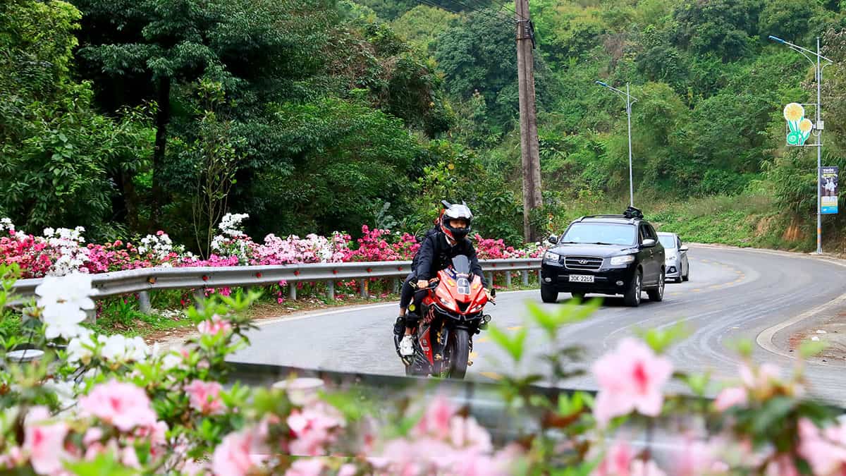 Di chuyển bằng ô tô đi Tam Đảo