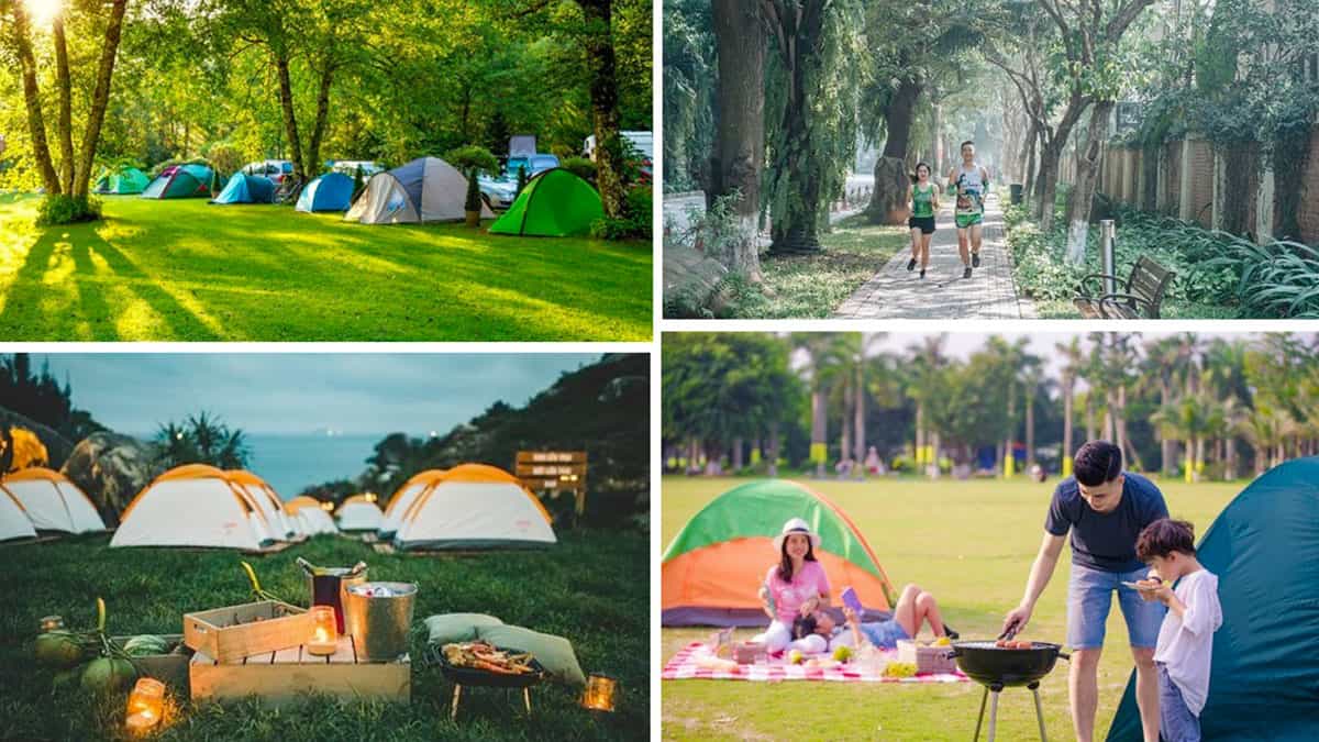 Khám phá dịch vụ cho thuê xe đi Ecopark chất lượng, giá rẻ