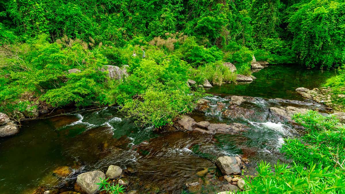 Rừng nguyên sinh Khe Rỗ được yêu thích