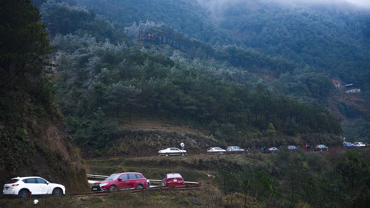 Thuê xe tự lái du khách có thể thoải mái lựa chọn các dòng xe khác nhau theo sở thích và nhu cầu của bản thân