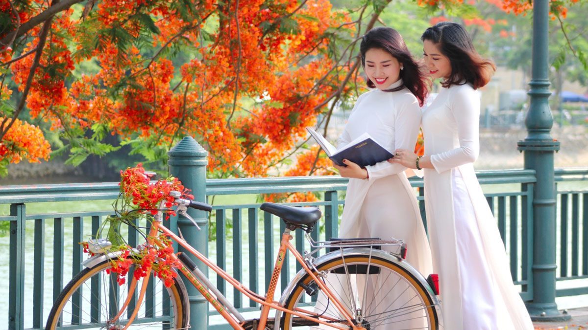 Hải Phòng - thành phố hoa phượng đỏ thơ mộng