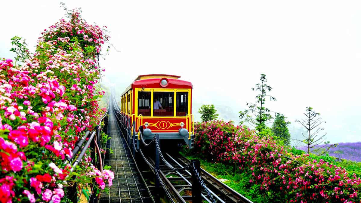 Thung lũng Hoa Hồng