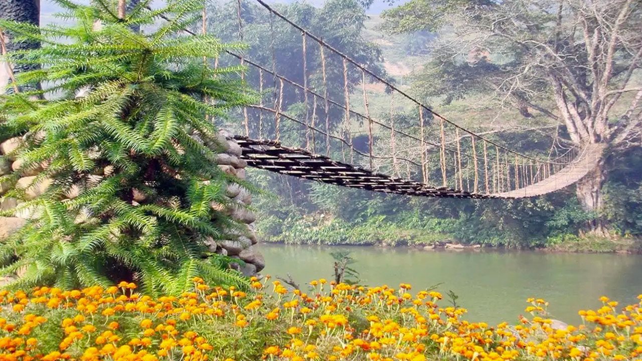 Cầu Treo ở Tam Đảo