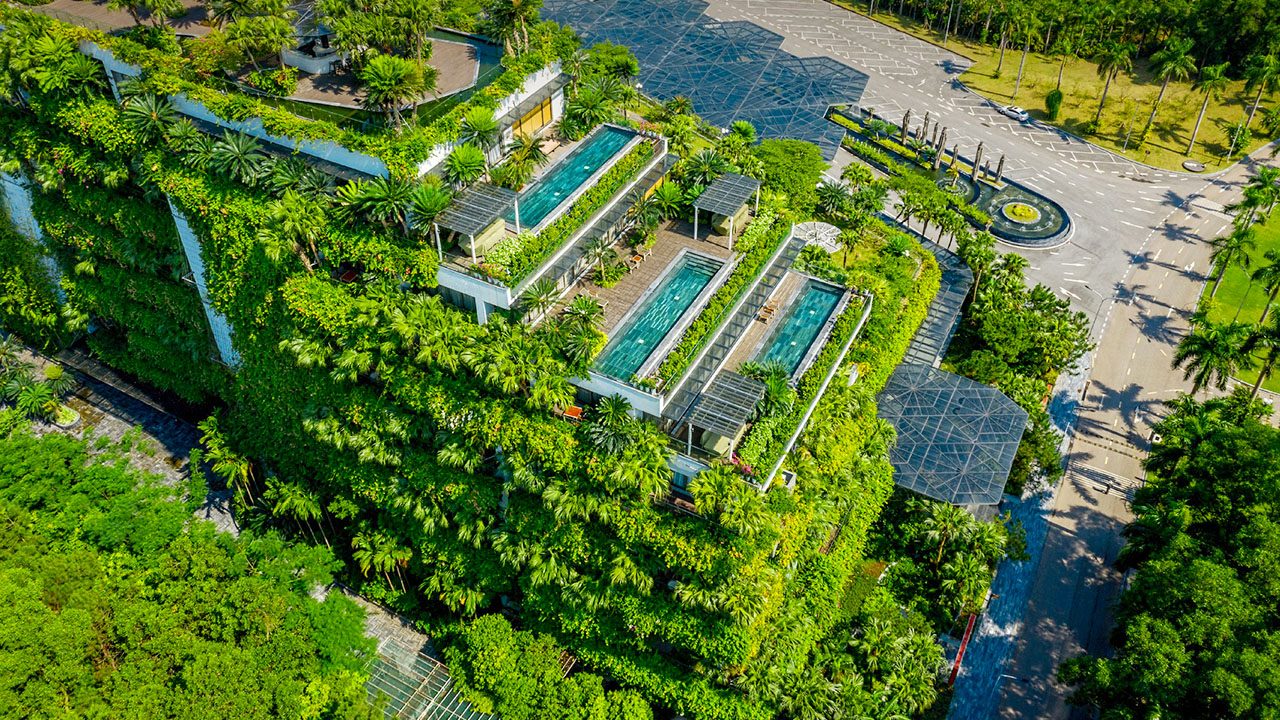 Nhà hàng Forest Sky