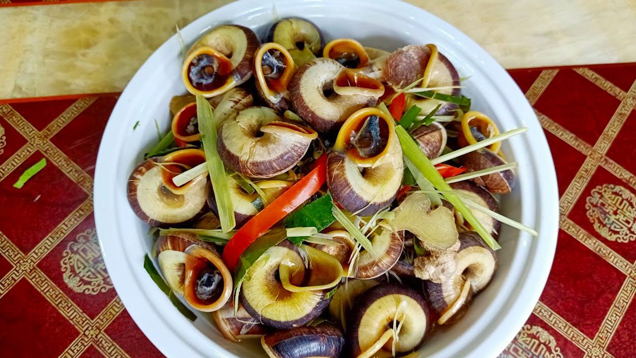 Ốc núi Ninh Bình