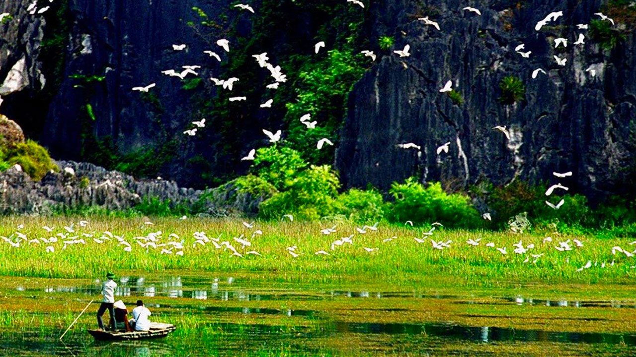 Vườn chim Thung Nham