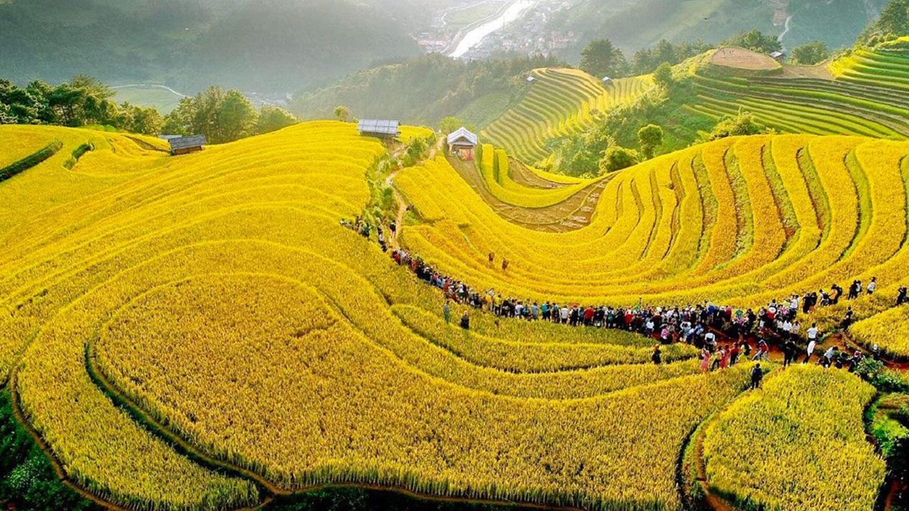 Cánh đồng Mù Cang Chải