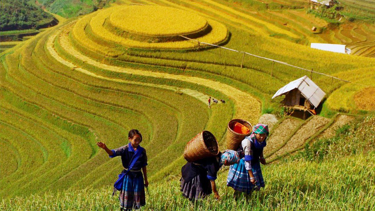 Cánh đồng La Pán Tẩn