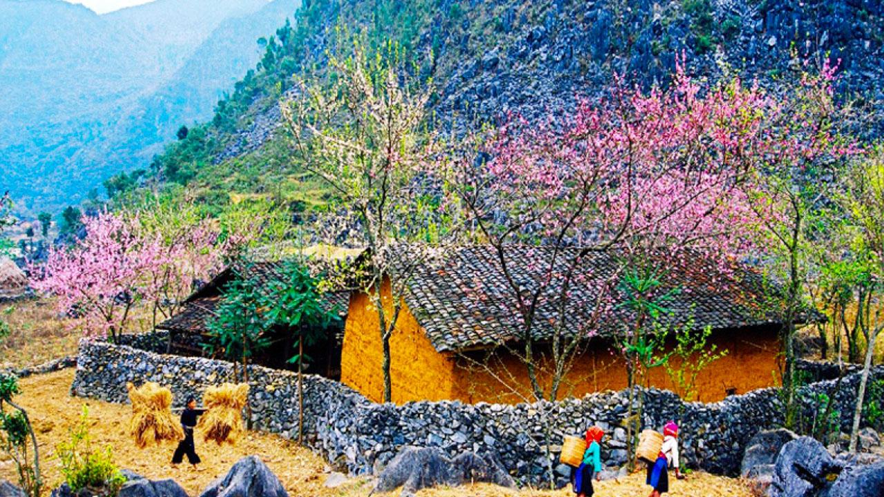 Nên đến Hà Giang từ tháng 9 đến tháng 3 năm sau