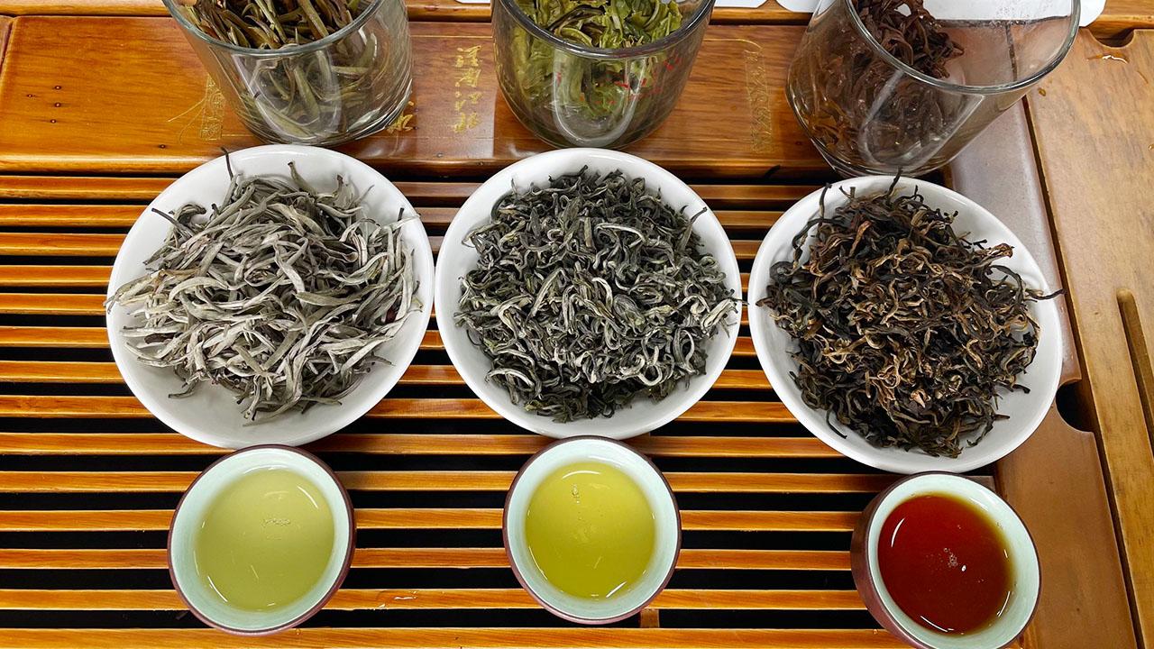 Chè shan tuyết - món quà đặc sản vùng cao nguyên đá Hà Giang