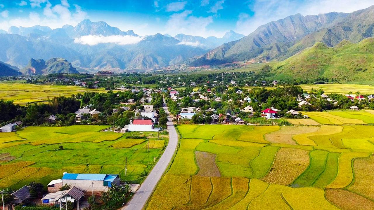 Cánh đồng Mường Than