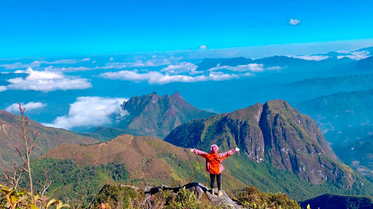 Đỉnh Bạch Mộc Lương Tử