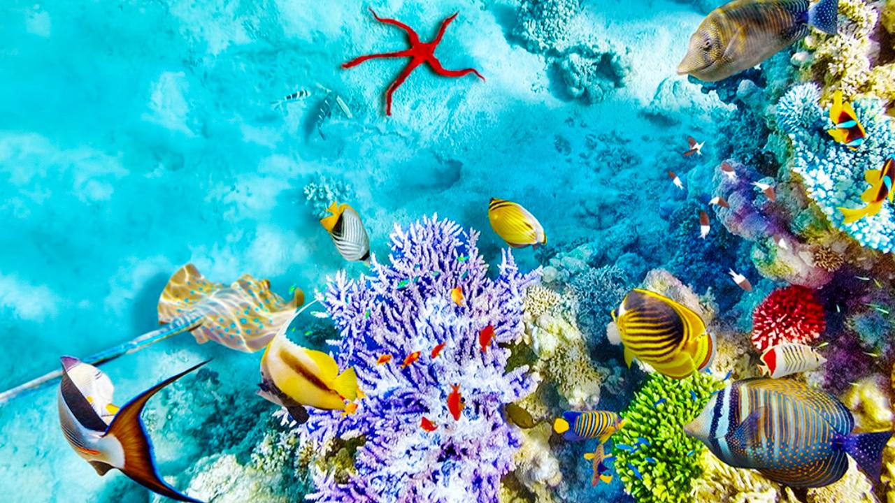 Hệ Sinh Thái Đặc Trưng