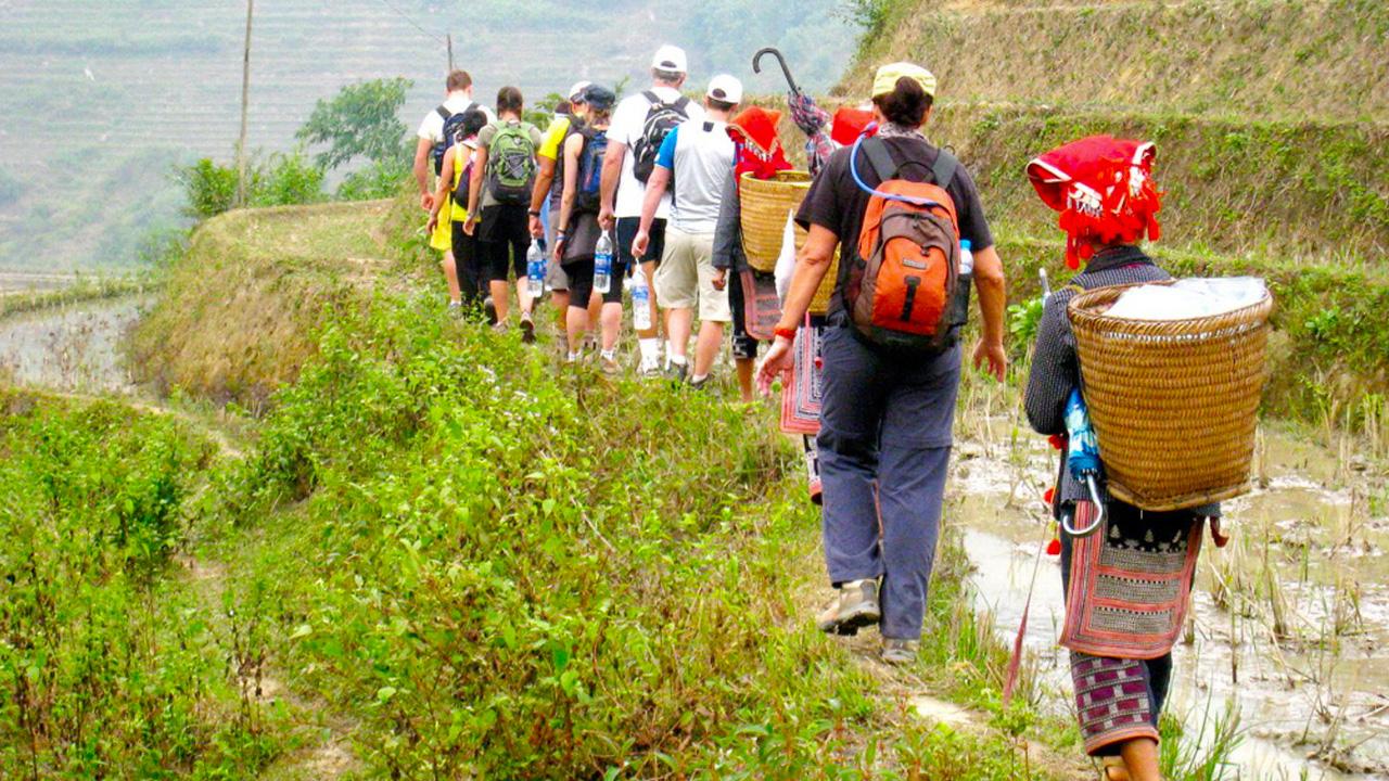 Trekking và Leo Núi ở Sapa