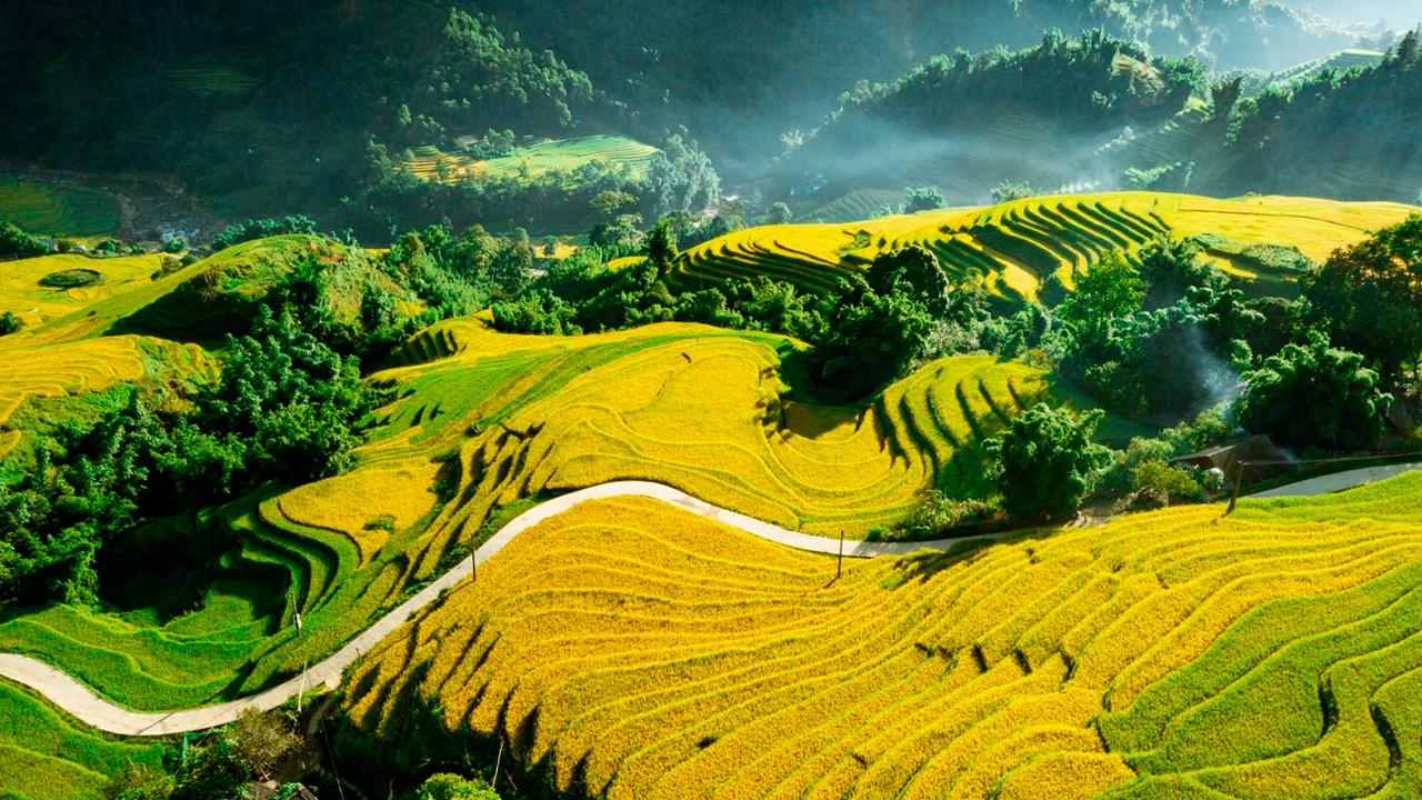 Cảnh quan thiên nhiên Sapa