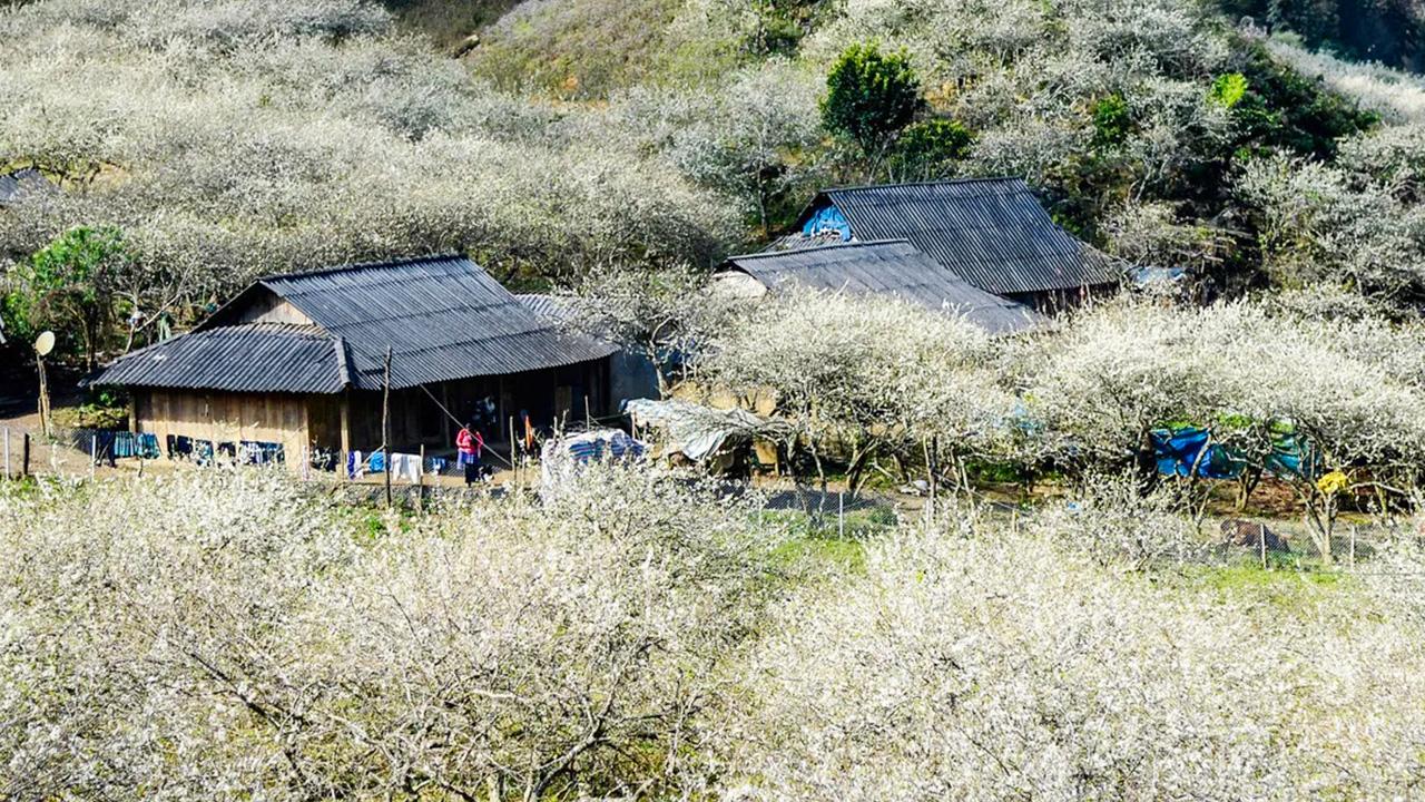 Những lưu ý khi di chuyển đến Mộc Châu