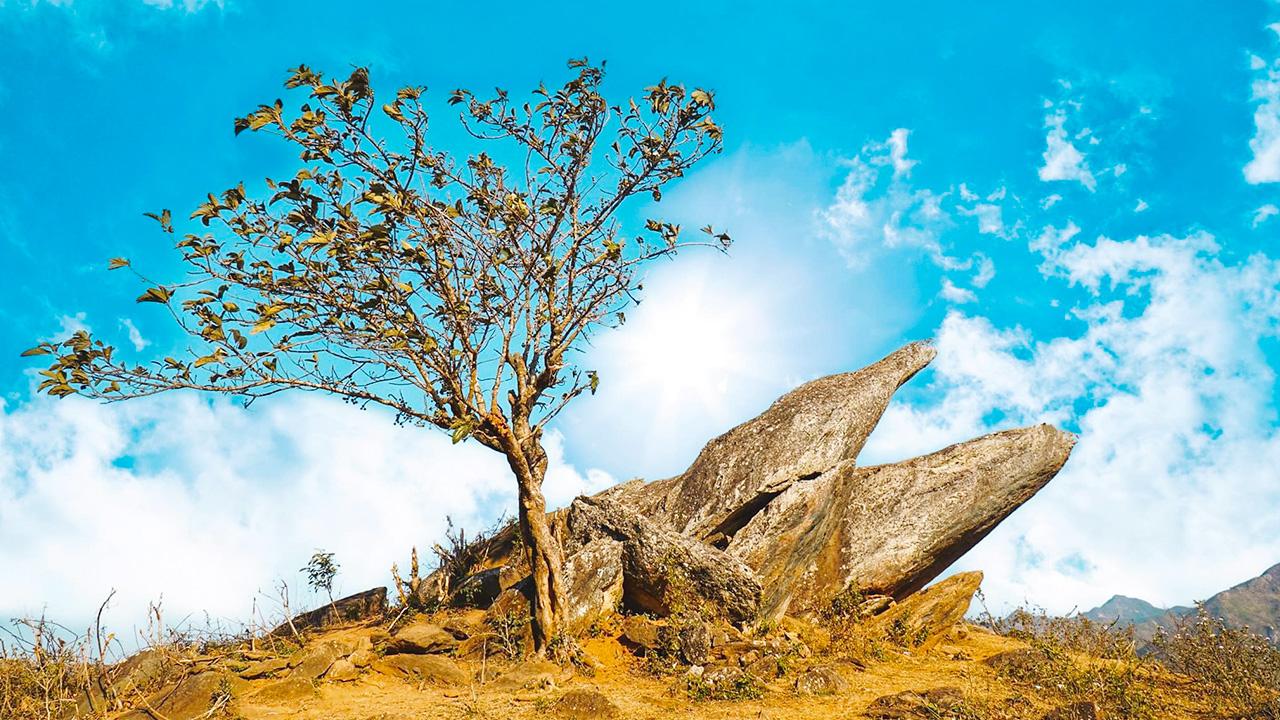 Mỏm Cá Heo Tà Xùa